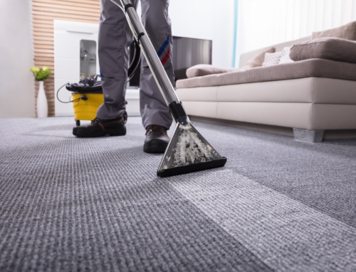 Teppichbodenreinigung Oedheim &ndash; Tiefensauber mit Anti-Milben Power